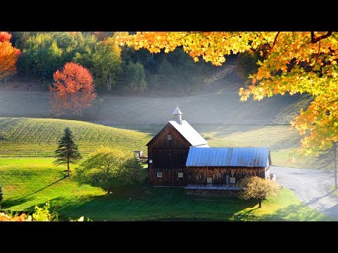 Peaceful Relaxing Instrumental Music, Meditation Calm Music