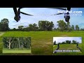 Helipal Com Tarot T 2d Brushless Gimbal T2d Gopro Hero images Helipal Com Tarot T 2d Brushless Gimbal T2d Gopro Hero