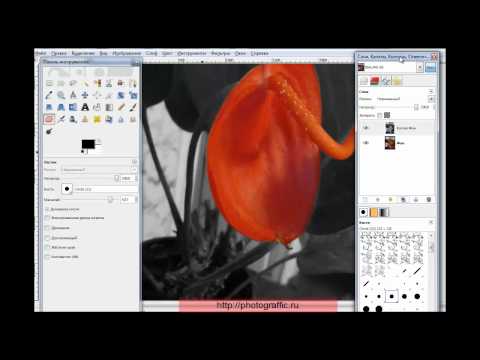 Как сделать белее в gimp Как сделать белее в gimp
