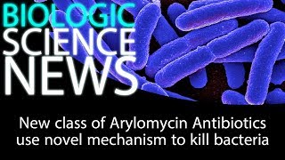 Science News - New class of Arylomycin Antibiotics use novel mechanism to kill bacteria
