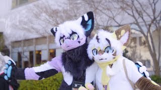 Atlantis's Japanese Meeting Of Furries 2018 Con Video (JMoF 2018)