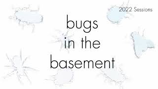 Bugs In The Basement- Monochamus Mutator aka The Spotted Pine Sawyer