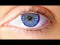 Brian Robbins - Voices of Videonomics