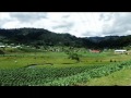 Marimba Sin Fronteras vol. 4 Estoy triste.wmv