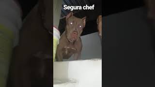 Real Pit Monster
