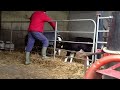 Mobile Calf Feeding Milk Tank