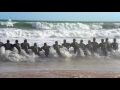 Pakistan Navy National Song | Sada Rehna Pakistan Zindabad | Defence Day | Rahat Fateh Ali Khan