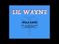 Mula Gang Video preview