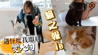 遇怪魔我即刻變大個 - Jackie篇貓之報Ie - 克服自身懶惰