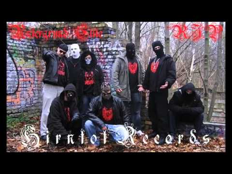 Kunstfreiheit Video