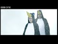 John Talks Wildlife - John Bishop's Britain - Series 2 - Episode 4 - BBC One