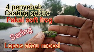 4 Penyebab Casting Gabus Pakai Soft Frog Sering Lepas Atau Mocel