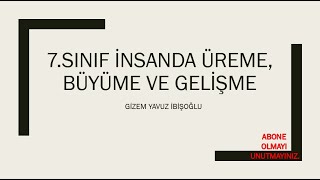 7.Sinif İnsanda Üreme Büyüme Ve Geli̇şme