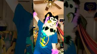 I Do Spin Paws