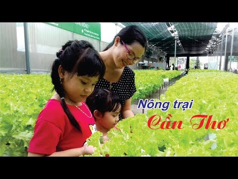 Can Tho Farm (Nông trại Cần Thơ)