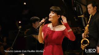 Live Concert