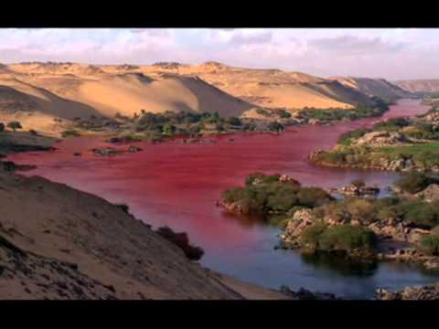 VIDEO DE EGIPTO video de egipto:
