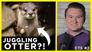 Can Otters Juggle?: Puijila is an Otter NOT a Transitional Fossil | CTS S2 E2