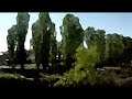 Pscychedelic Drum and bass trip
