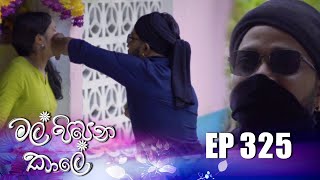 Mal Pipena Kale | Episode 325