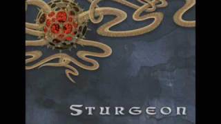 Watch Sturgeon Jingle Jangle video