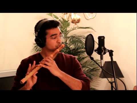 Jashn-e-bahara (Cover) - G. Bharathwaj ft. Mahesh Radhakrishnan...
