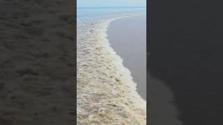 The Majestic Tidal Bore Of The Qiantang River