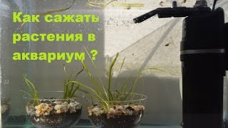 Мастер класс по оформлению конфет на подарок Мастер класс по оформлению конфет на подарок