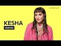 Kesha "Raising Hell" Official Lyrics & Meaning | Verified