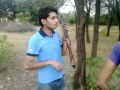 Shikar Hi Shikarmp4