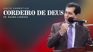 Culto Doméstico: Cordeiro de Deus (15.01.2023) | Tabernáculo - Anápolis - GO