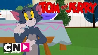 Tom & Jerry Show I Eğlence I Cartoon Network Türkiye