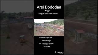 Bulchiinsaaanaa Dodola