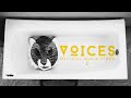 SWITCHFOOT VOICES Official Music Video SWITCHFOOT VOICES Official Music Video