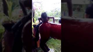 Slippery Horse Back Riding Challenge Naipo Na Yey