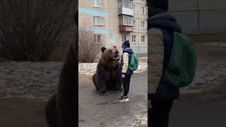 Way To School