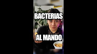 Bacterias al mando