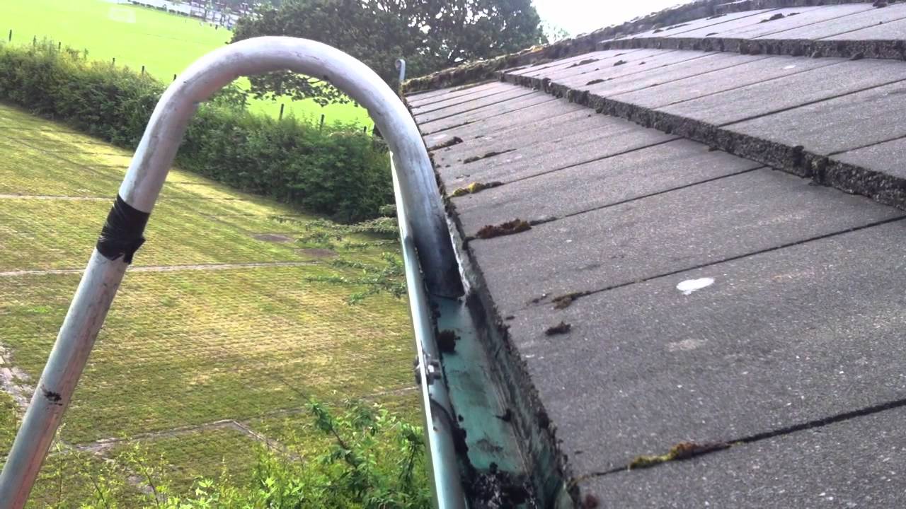 Bees Making A Home In A Popular Reverse Curve Gutter Guard Whenever You Have A A Hole Gap Or Channel Just About Anything Can Get I Gutters Gutter Guard Pests