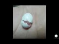 2019 Cutest Baby Animals Ever Video Compilation Funny Cute Baby Animals #3