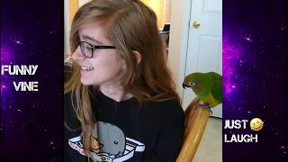 TRY NOT TO LAUGH FUNNY ANIMAL Videos Compilation FUNNY VINES July 2018