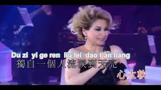Slow Hand 心太软甄妮 Live Pinyin