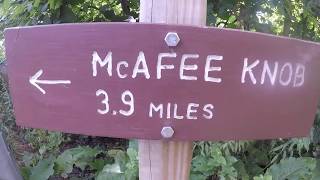 #37 Reaching McAfee Knob on the Appalachian Trail