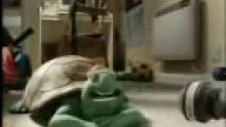 Turtle Song Persian Language 2