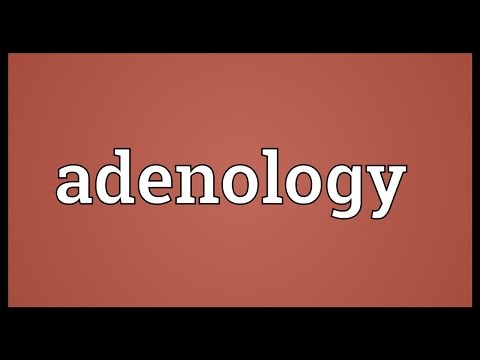 Header of adenology