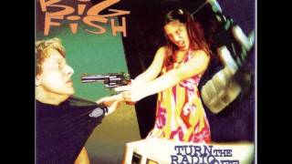 Watch Reel Big Fish Snoop Dog Baby video