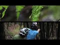 freeride films