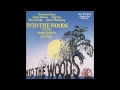Into The Woods part 17 - No More