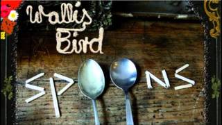 Watch Wallis Bird Moodsets video