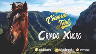 Criado Xucro - Grupo Celebrai Tchê (Lyric Vídeo Oficial)