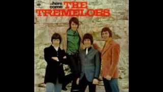 Watch Tremeloes Round And Round video